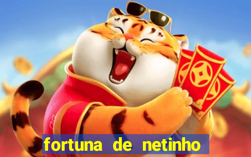 fortuna de netinho de paula